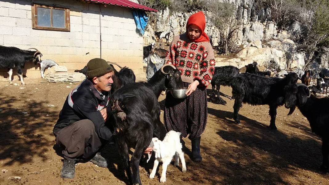 Diplomasını sandığa kaldırdı, dağlara çıktı! 5